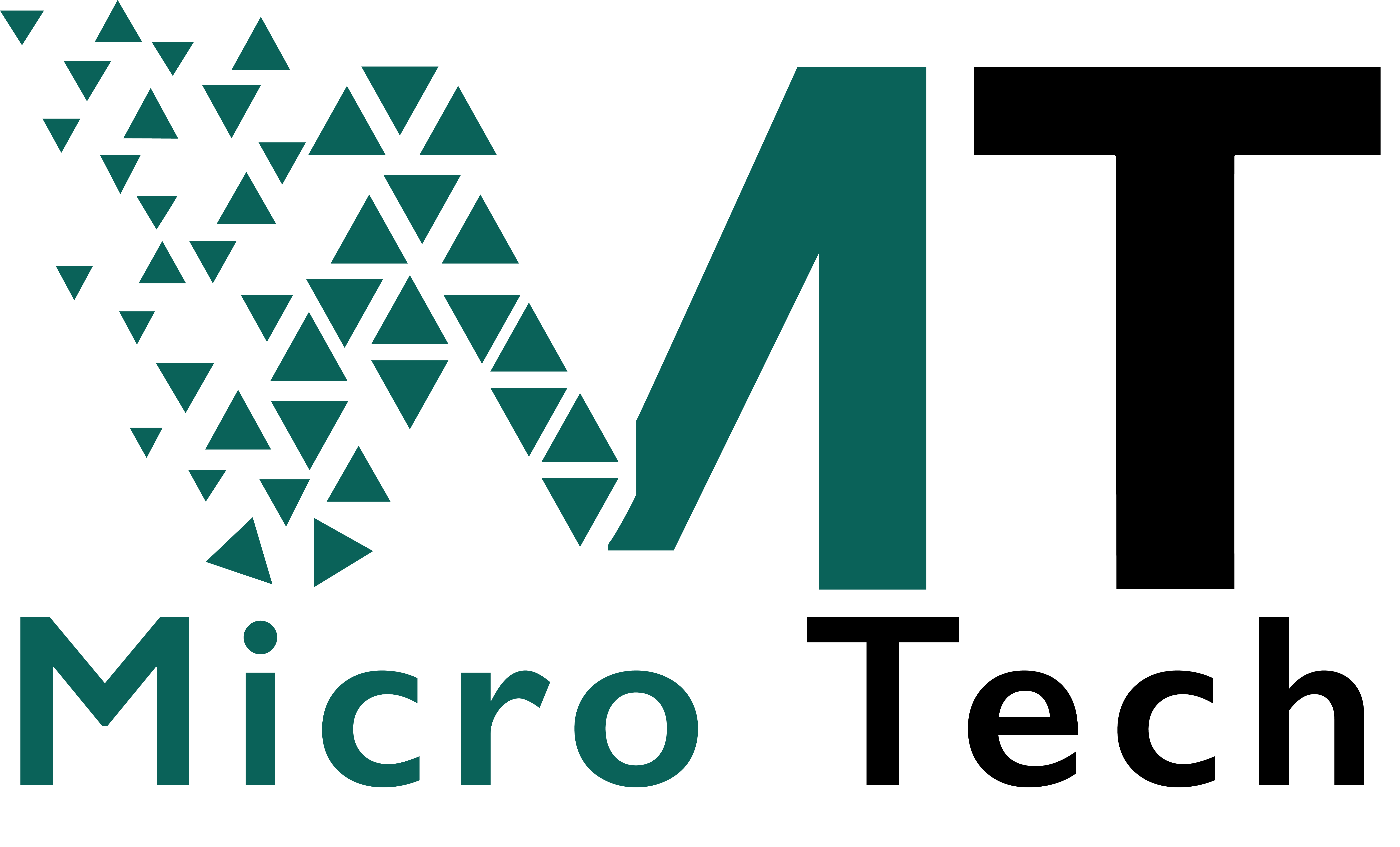 Microtech Egypt